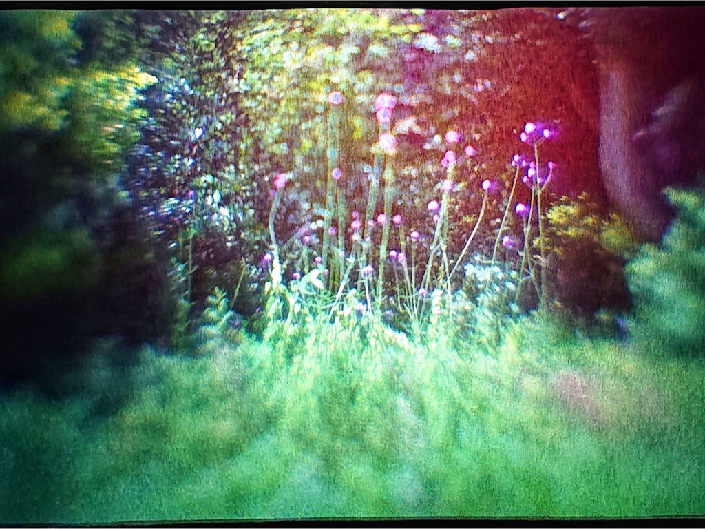 oittinen_parc_josaphat_camera_obscura,jpg
